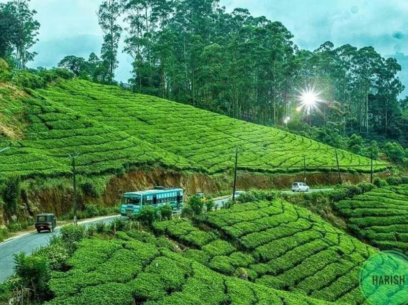 Munnar Tent Hills Resort Devikolam Esterno foto